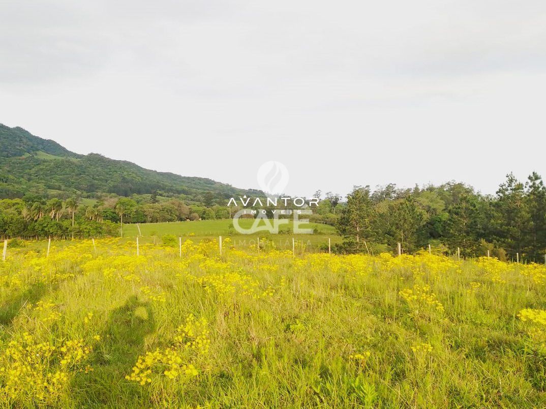 Terreno à venda em Zona rural, São João do Polêsine/RS — foto 4 de 4
