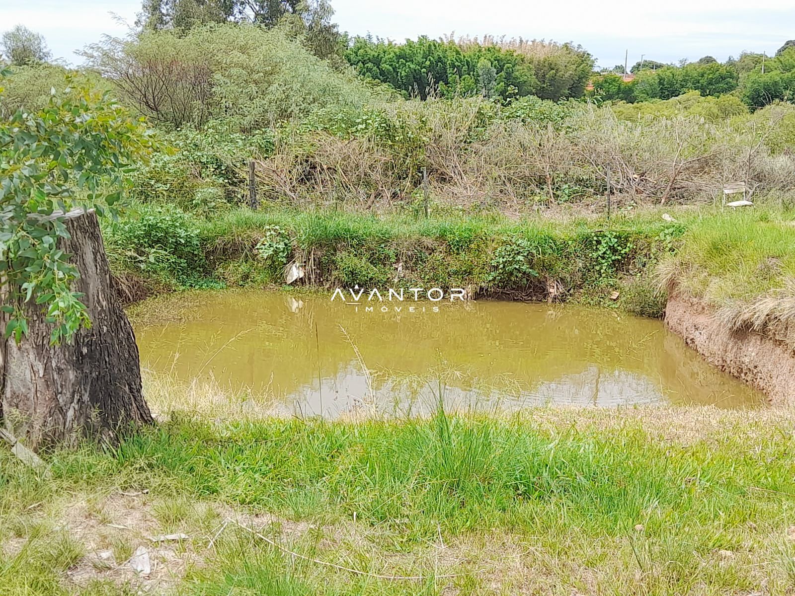 Chácara com 3 quartos à venda em Zona Rural, São Sepé/RS — foto 6 de 12