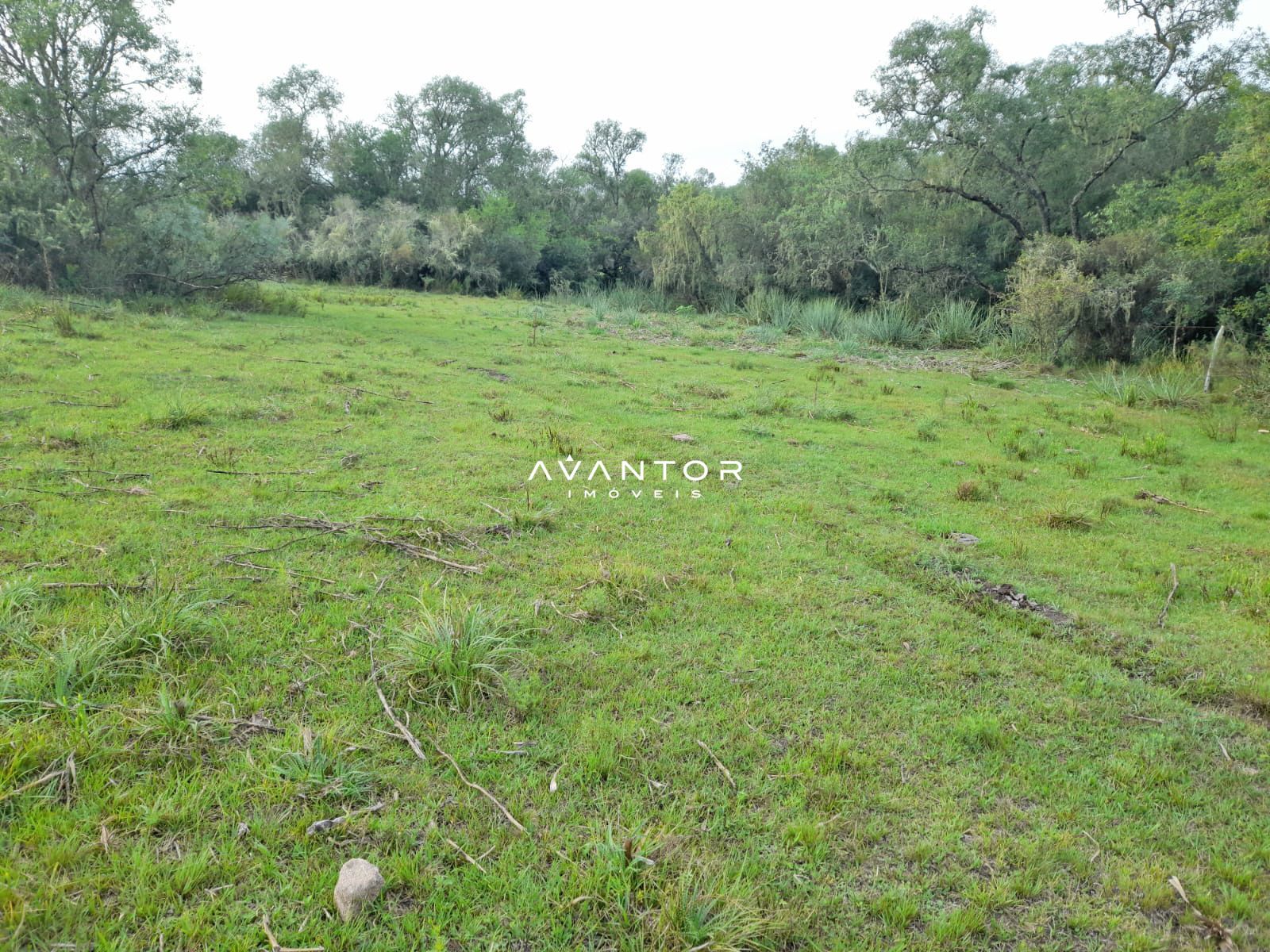 Chácara com 2 quartos à venda em Zona Rural, Lavras do Sul/RS — foto 5 de 13