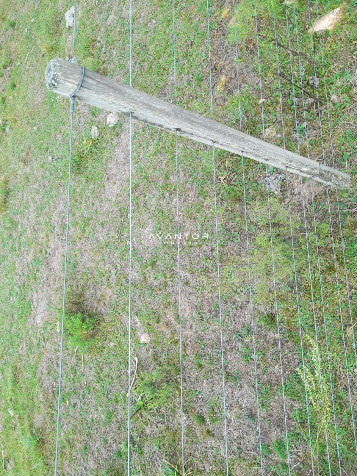 Chácara com 2 quartos à venda em Zona Rural, Lavras do Sul/RS — foto 9 de 13