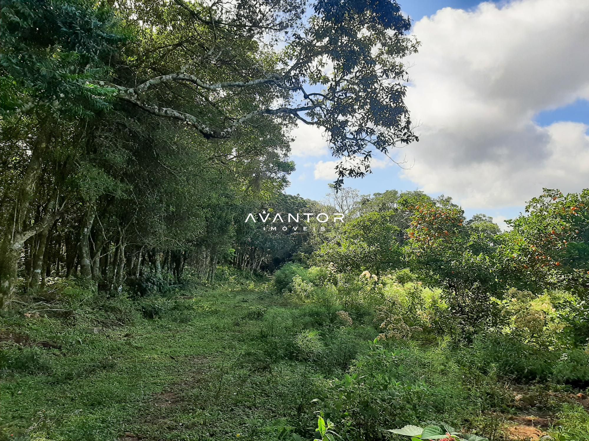 Campo à venda em Parque Pinhal, Itaara/RS — foto 4 de 8