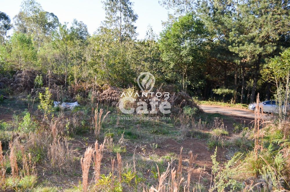 Terreno 20x47m em Itaara, 4km da BR-158, 20min de Santa Maria-RS — Terreno à venda em Etelvina, Itaara/RS