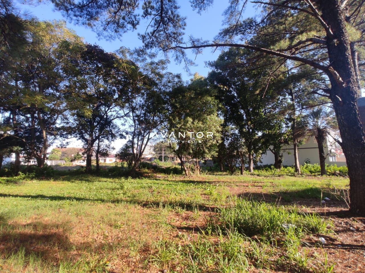 Terreno à venda em Camobi, Santa Maria/RS — foto 4 de 6