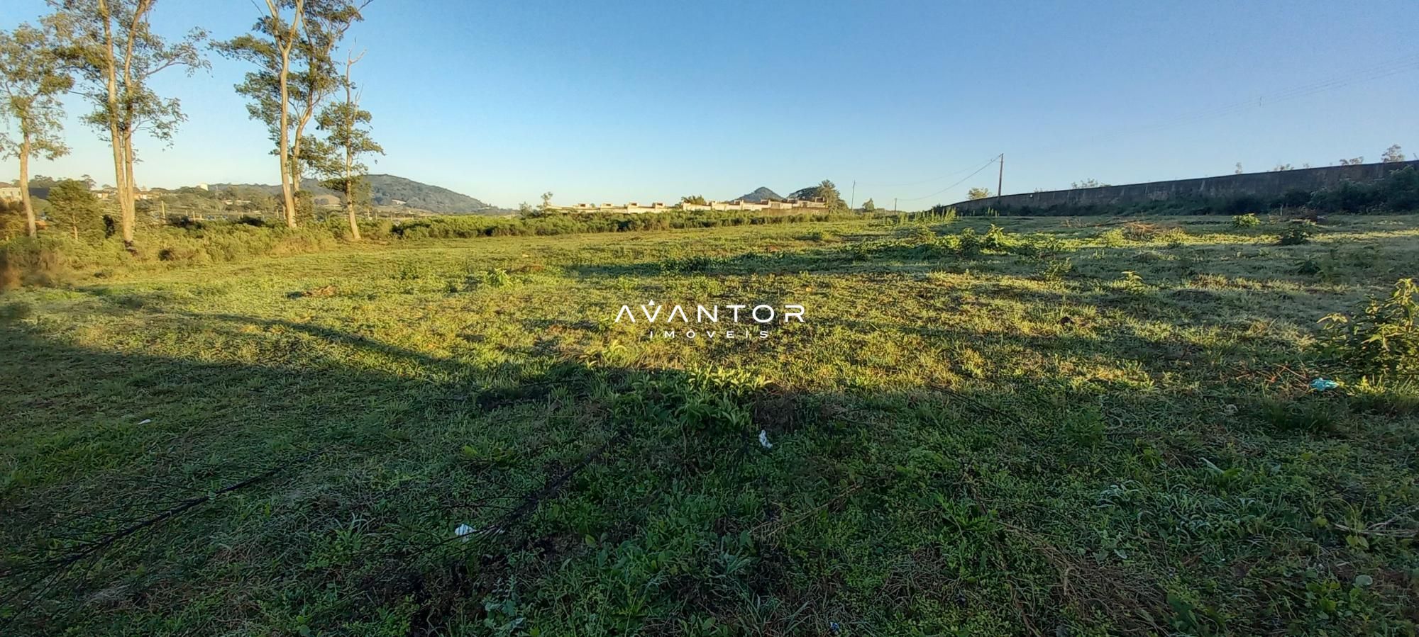 Terreno à venda em Tomazetti, Santa Maria/RS — foto 3 de 5