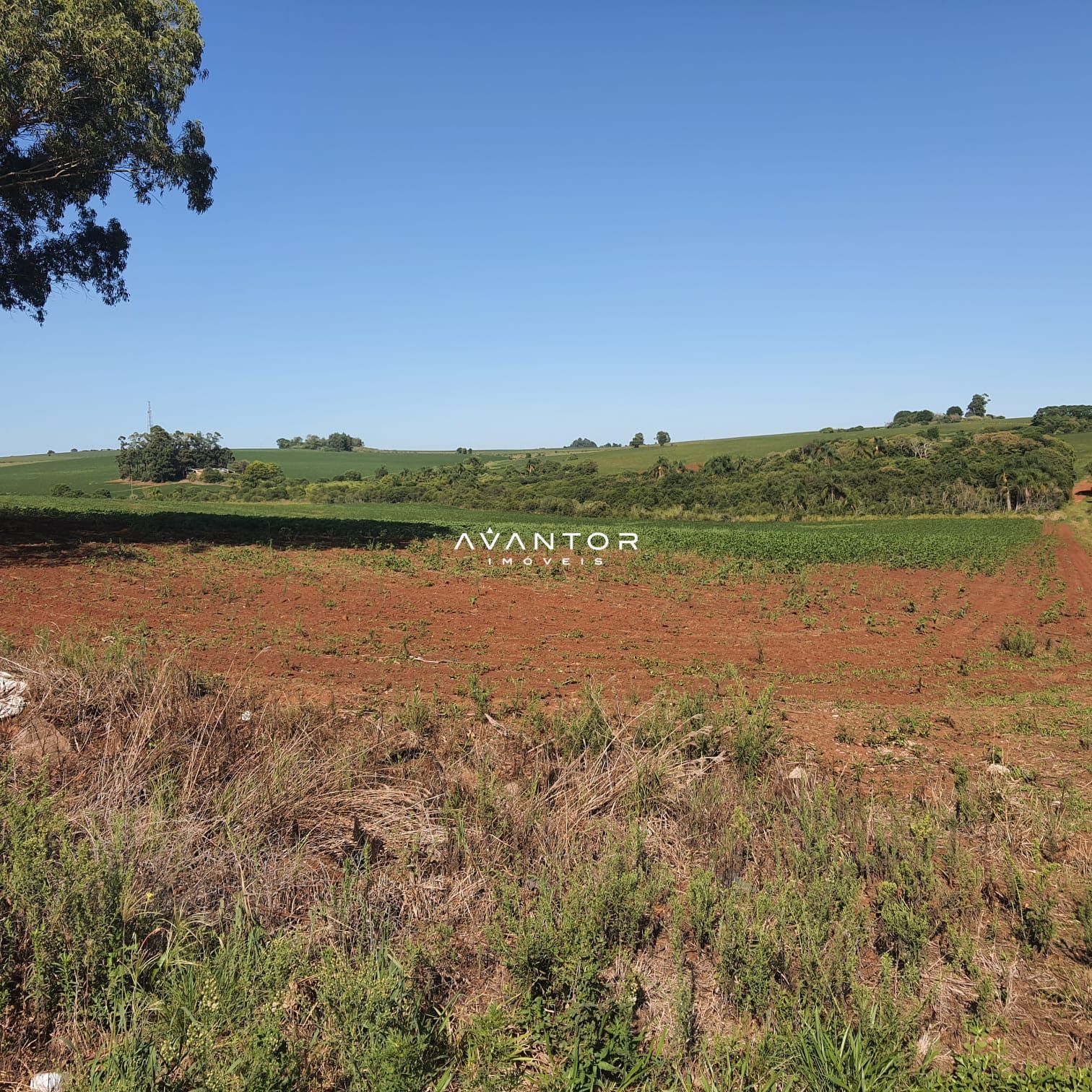 Campo à venda em Área Rural de Cruz Alta, Cruz Alta/RS — foto 2 de 2