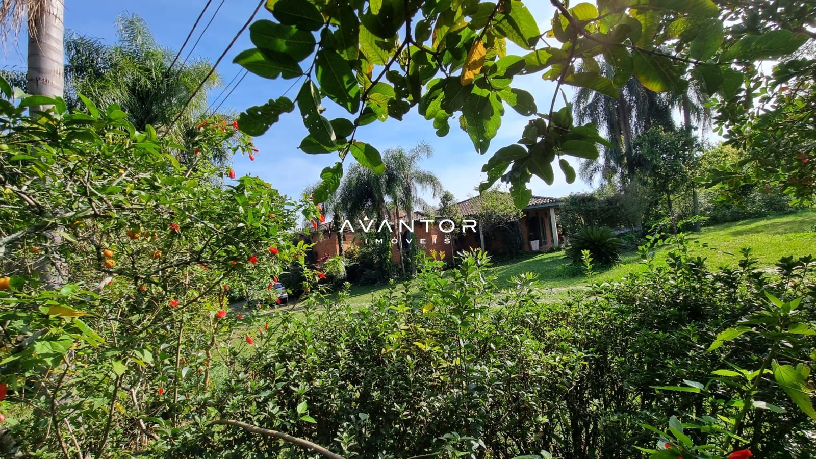 Chácara com 5 quartos à venda em Tomazetti, Santa Maria/RS — foto 5 de 43