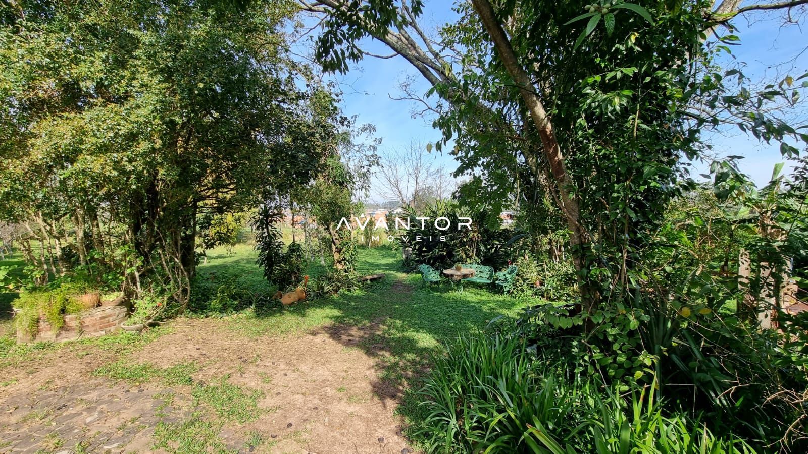 Chácara com 5 quartos à venda em Tomazetti, Santa Maria/RS — foto 6 de 43