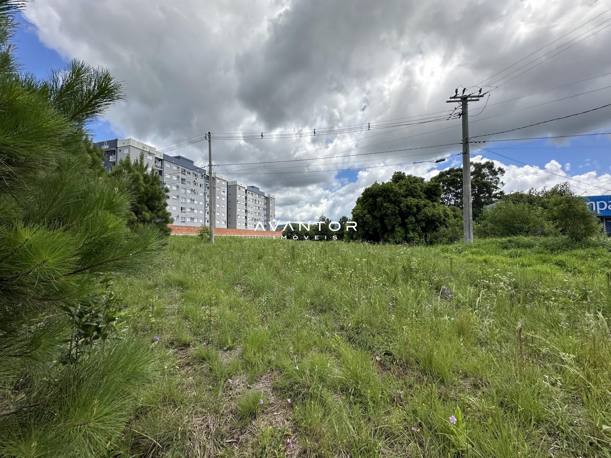 Terreno à venda em Camobi, Santa Maria/RS — foto 8 de 8