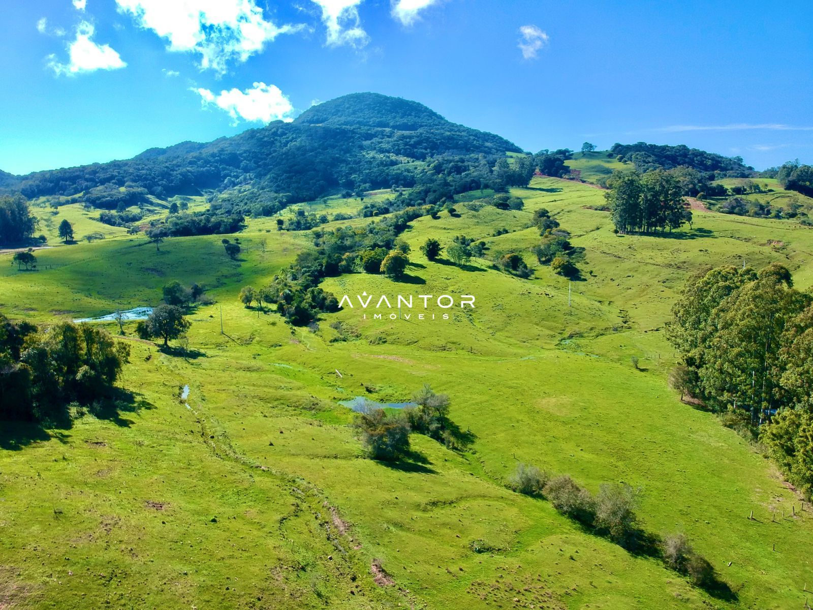 Campo à venda em Zona rural, Dona Francisca/RS — foto 10 de 12