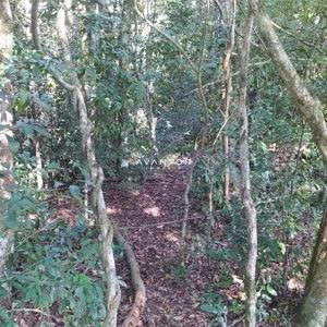 Chácara à venda em Boca do Monte, Santa Maria/RS — foto 5 de 11