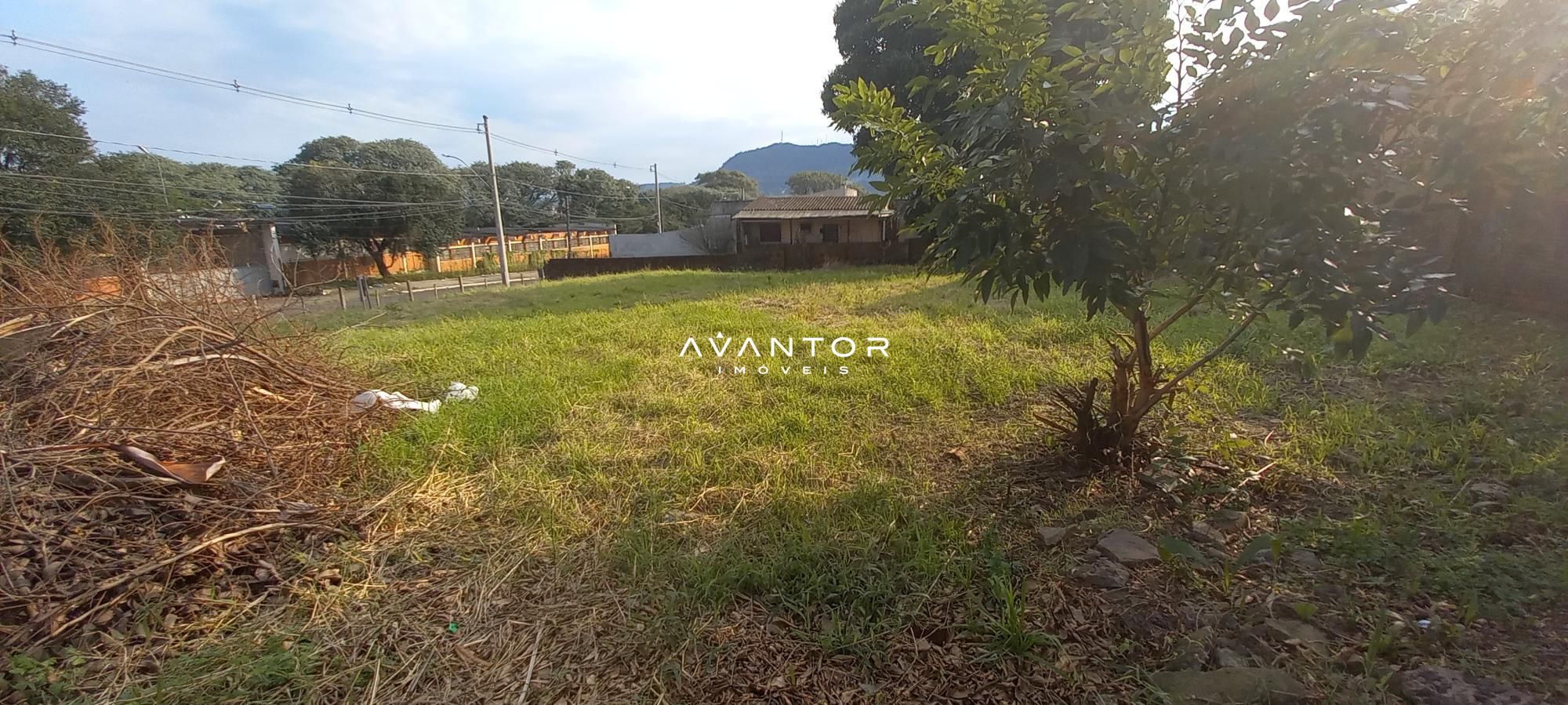 Terreno à venda em Nossa Senhora do Rosário, Santa Maria/RS — foto 4 de 6