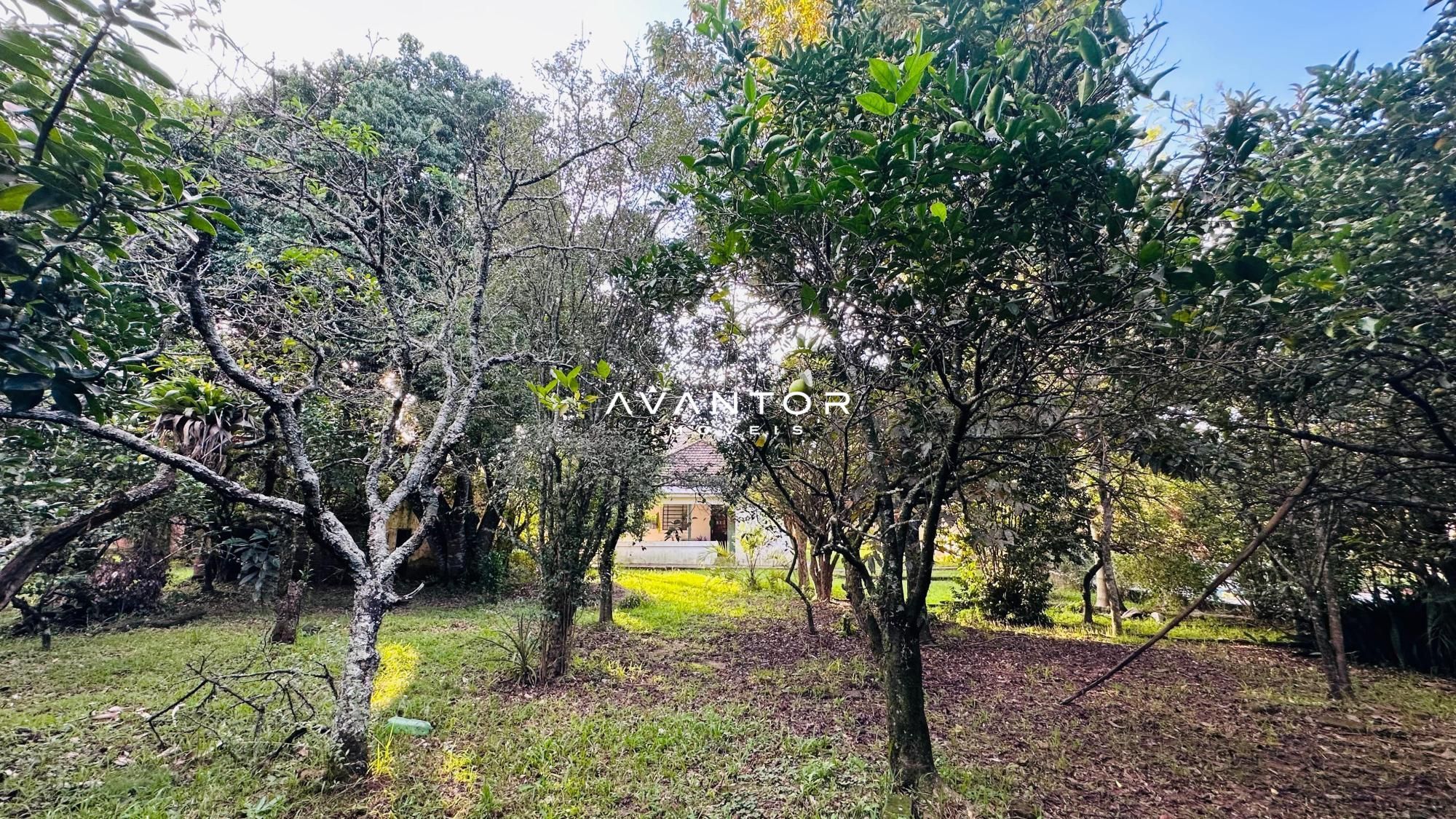 Casa com 4 quartos à venda em Km 3, Santa Maria/RS — foto 8 de 14