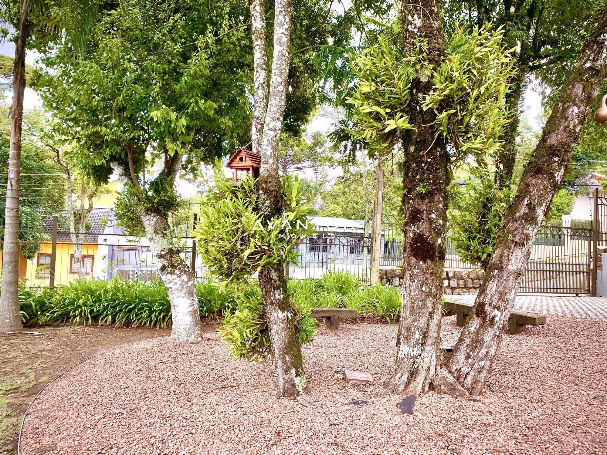 Casa com 4 quartos à venda em Parque Pinhal, Itaara/RS — foto 8 de 50