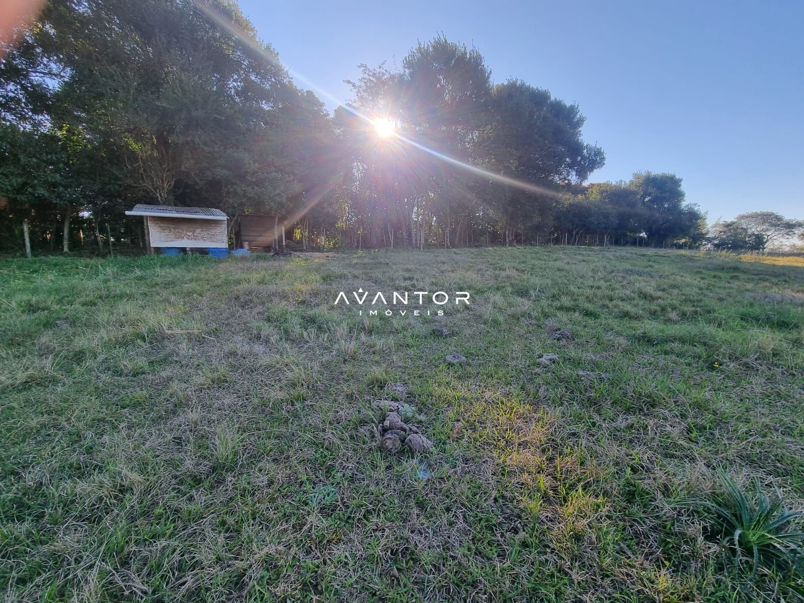 Terreno à venda em Passo das Tropas, Santa Maria/RS — foto 4 de 7