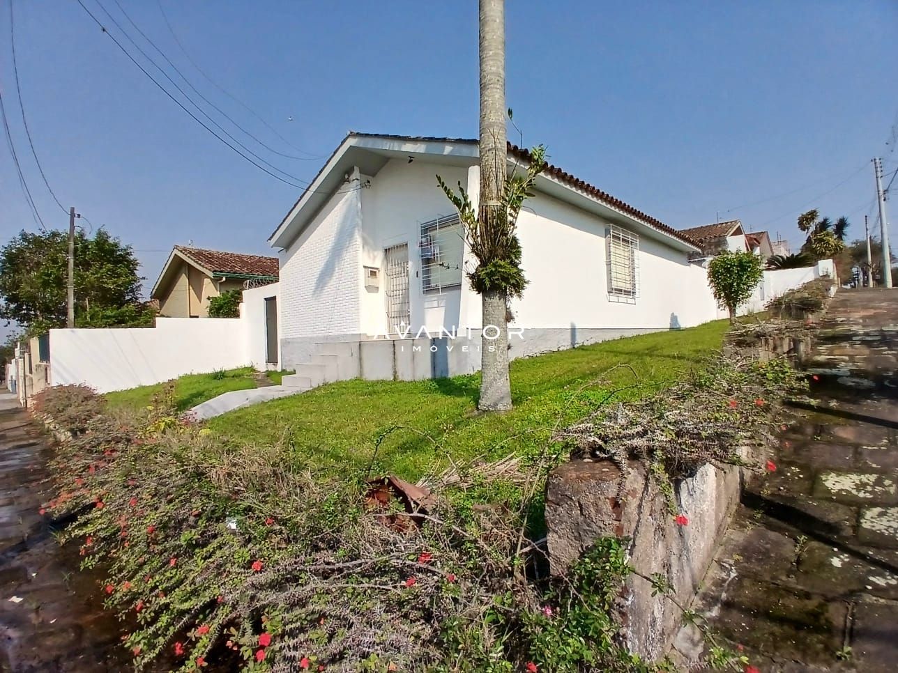 Casa com 3 quartos à venda em Patronato, Santa Maria/RS — foto 5 de 29