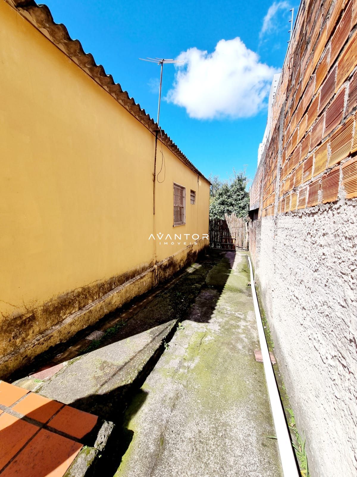 Casa com 3 quartos à venda em Nossa Senhora do Rosário, Santa Maria/RS — foto 5 de 15