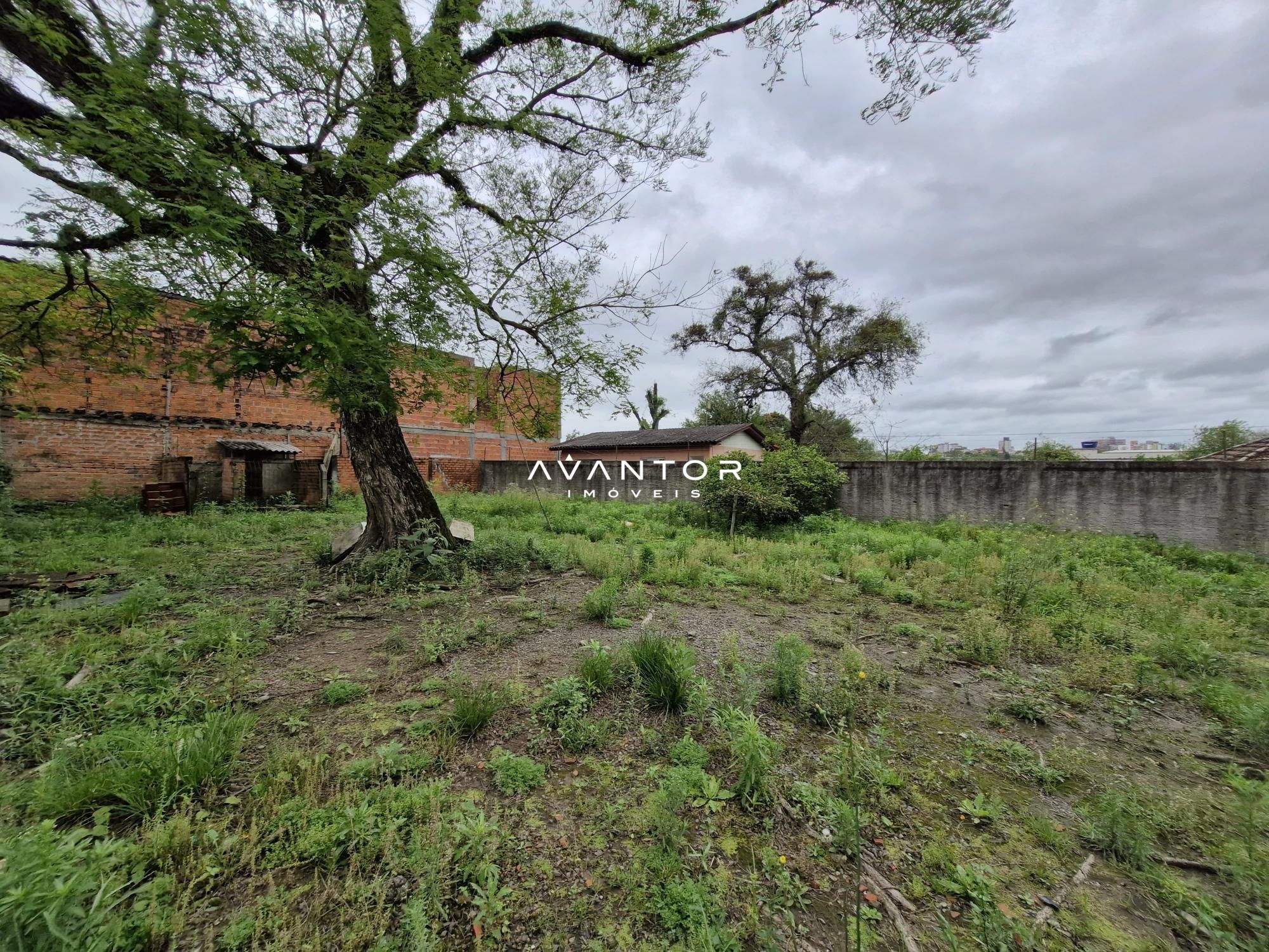 Casa com 3 quartos à venda em Nossa Senhora do Perpétuo Socorro, Santa Maria/RS — foto 14 de 16