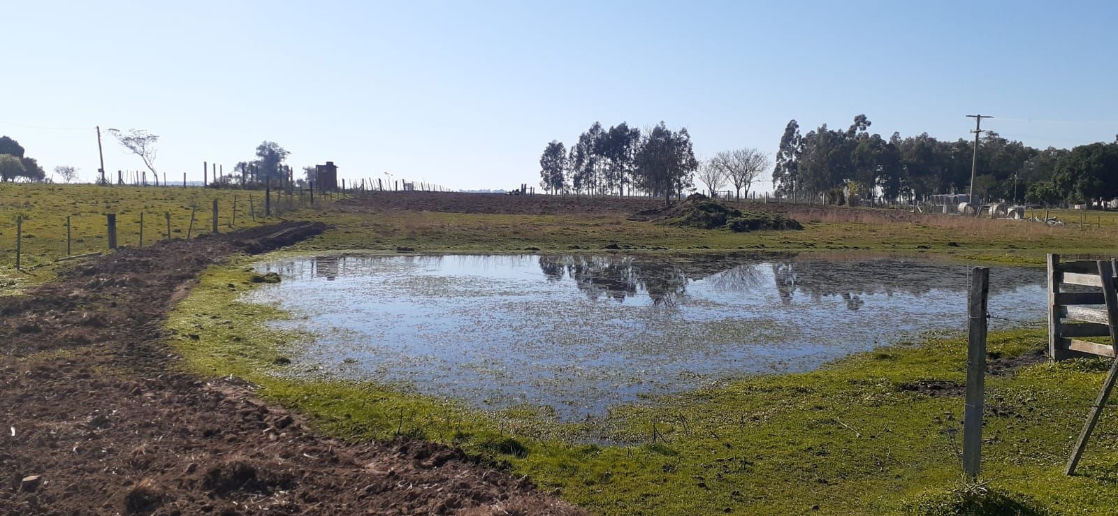 Chácara com 1 quarto à venda em Interior, Dilermando de Aguiar/RS — foto 6 de 10