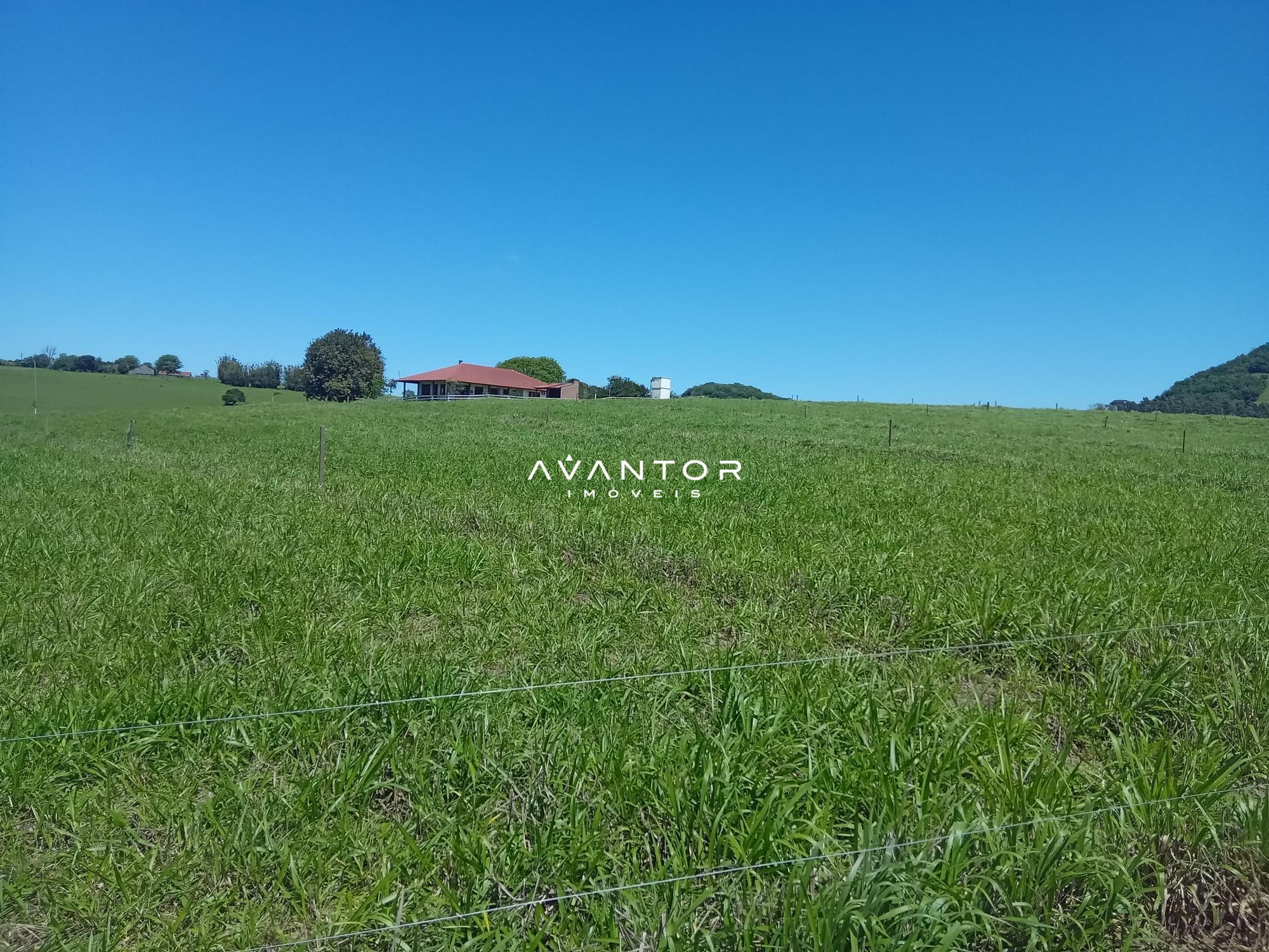 Chácara com 3 quartos à venda em Zona Rural, São Pedro do Sul/RS — foto 5 de 33