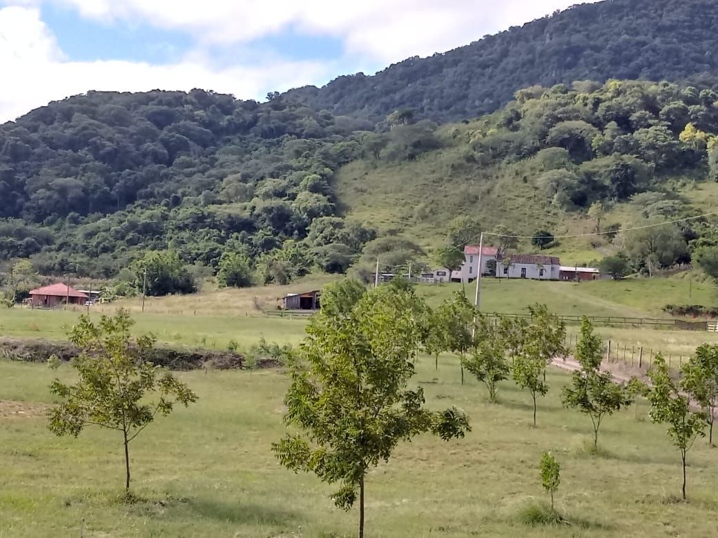 Chácara com 3 quartos à venda em Camobi, Santa Maria/RS — foto 15 de 27
