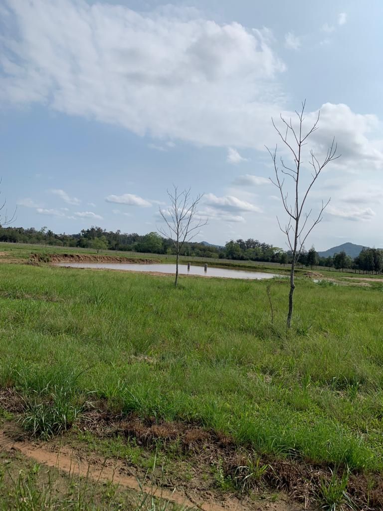 Chácara com 3 quartos à venda em Camobi, Santa Maria/RS — foto 20 de 27