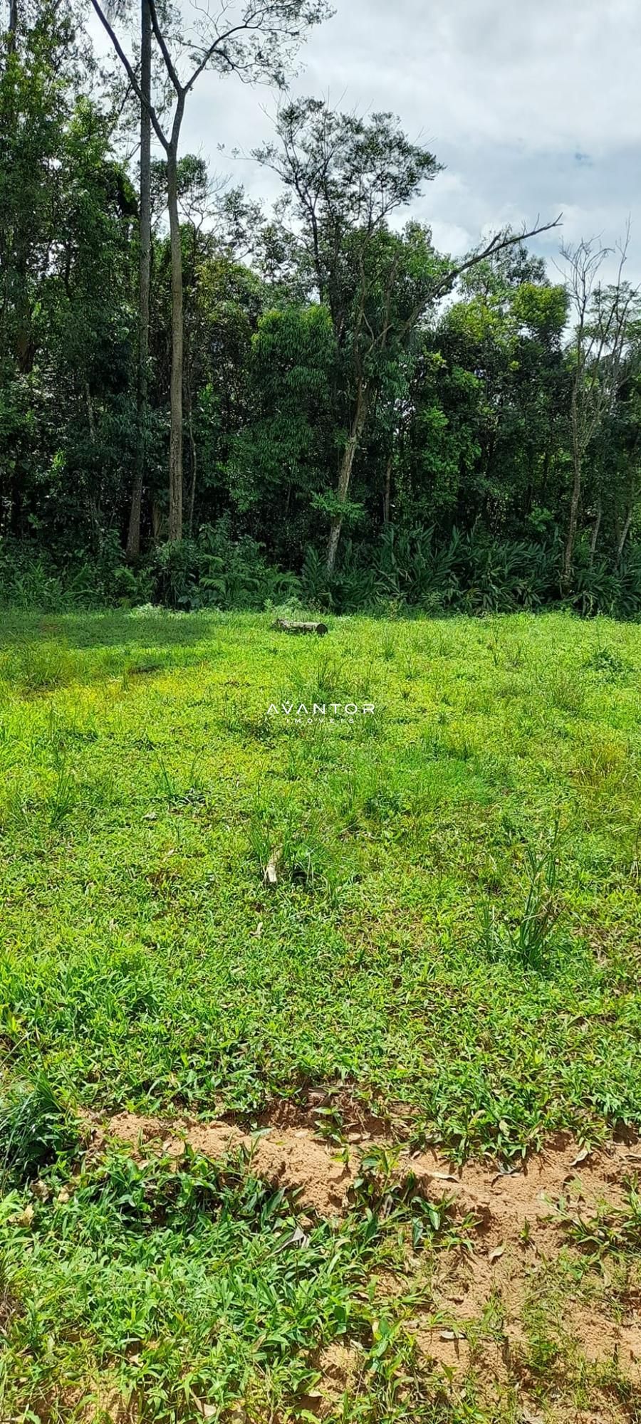 Chácara à venda em Zona rural, São João do Polêsine/RS — foto 7 de 17