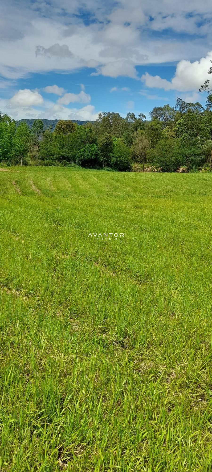Chácara à venda em Zona rural, São João do Polêsine/RS — foto 8 de 17