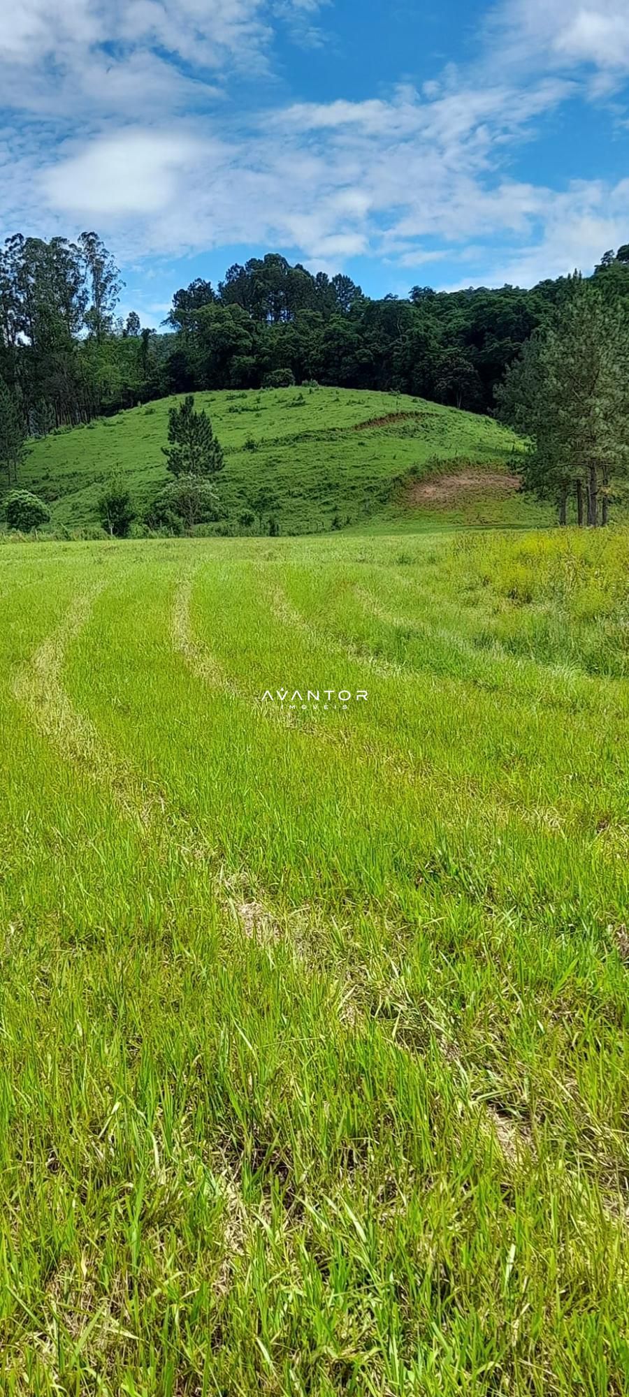 Chácara à venda em Zona rural, São João do Polêsine/RS — foto 9 de 17