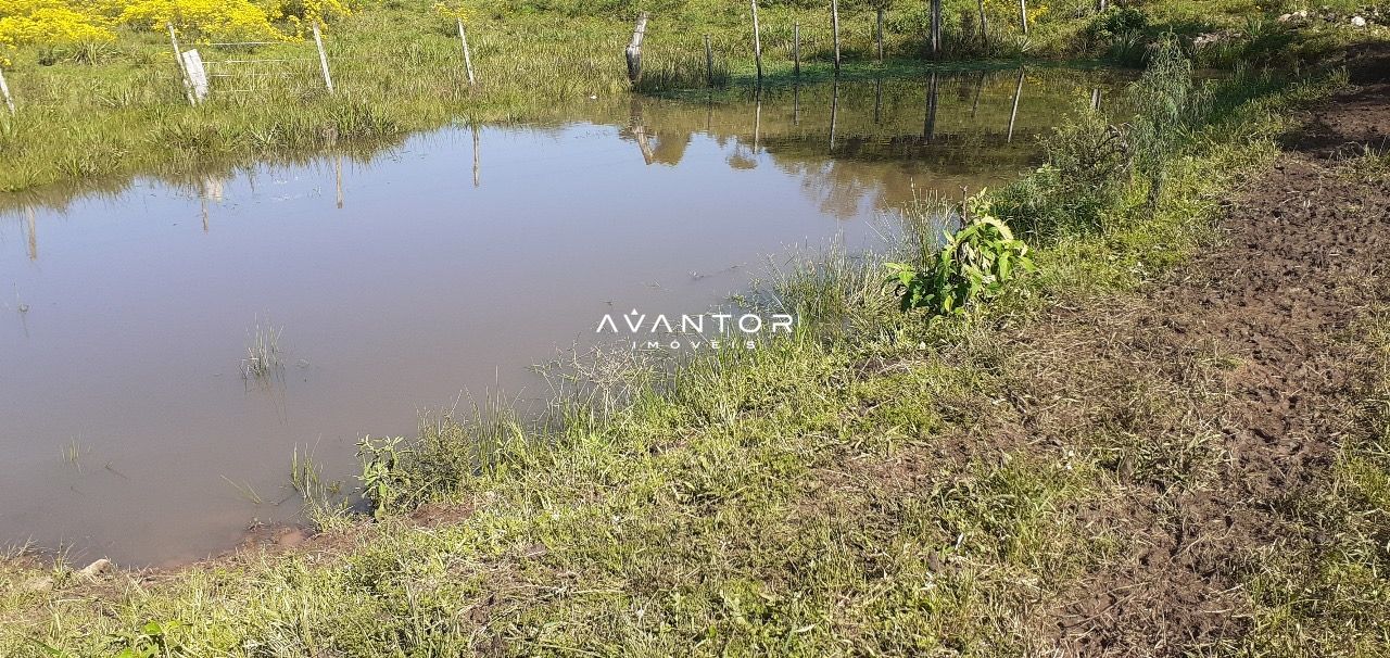 Chácara com 3 quartos à venda em Zona rural, Vila Nova do Sul/RS — foto 2 de 35