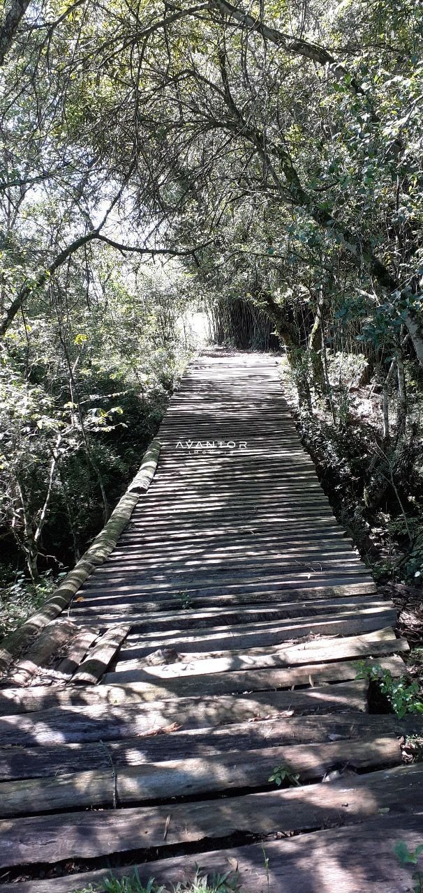 Chácara com 3 quartos à venda em Zona rural, Vila Nova do Sul/RS — foto 4 de 35