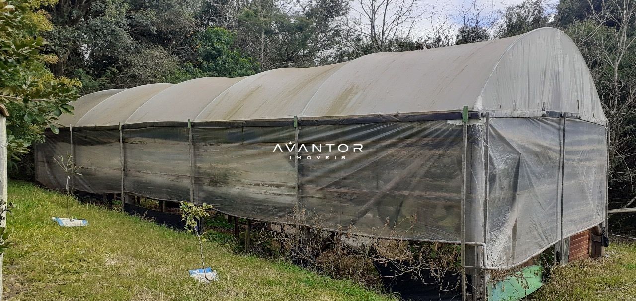 Chácara com 3 quartos à venda em Zona rural, Vila Nova do Sul/RS — foto 18 de 35