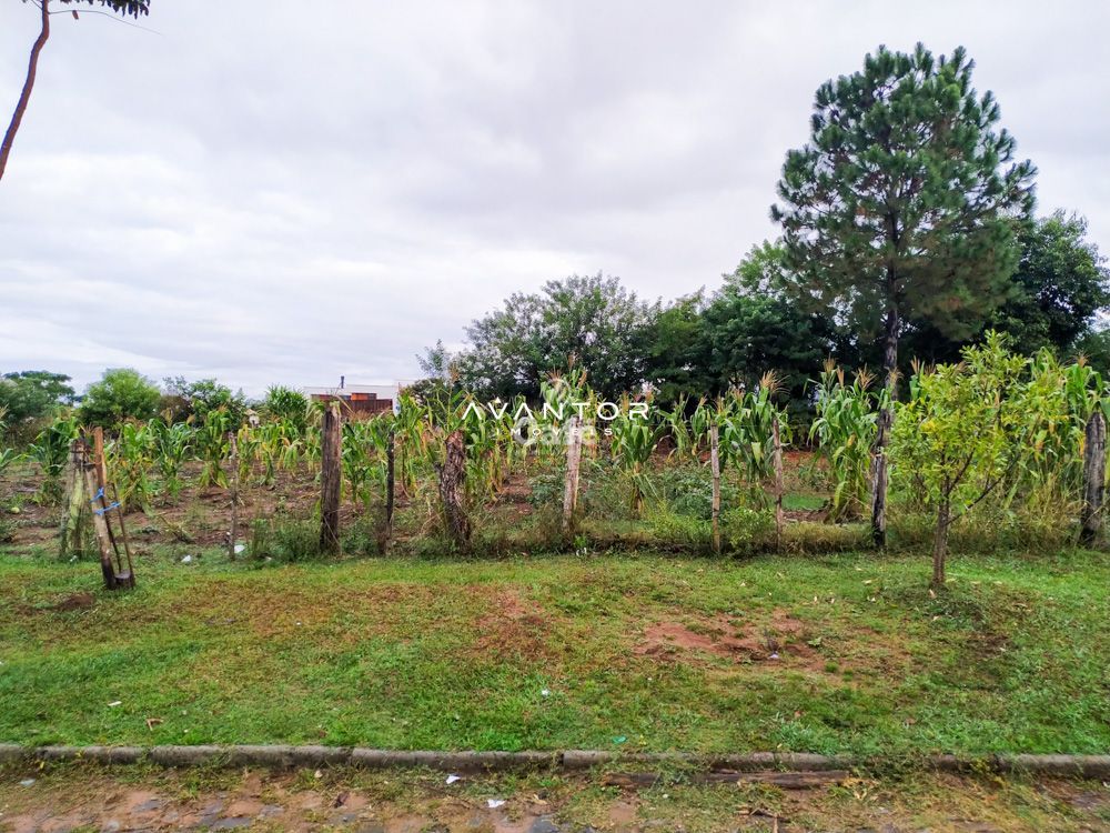 Excelente terreno plano 12x30m pronto para construir no bairro Pinheiro Machado - Santa Ma — Terreno à venda em São João, Santa Maria/RS