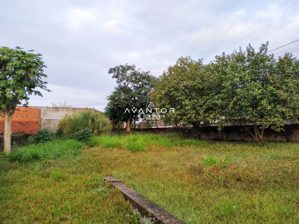 Terreno à venda em Pinheiro Machado, Santa Maria/RS — foto 3 de 4