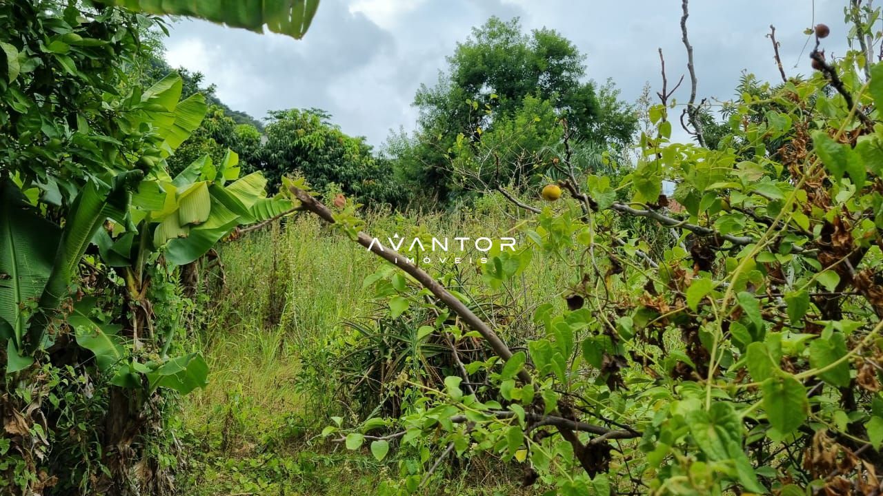 Terreno à venda em Nossa Senhora do Perpétuo Socorro, Santa Maria/RS — foto 5 de 11