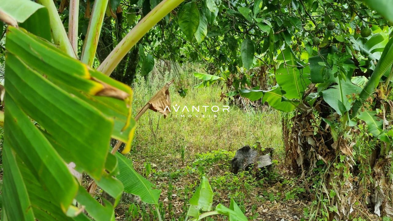 Terreno à venda em Nossa Senhora do Perpétuo Socorro, Santa Maria/RS — foto 7 de 11