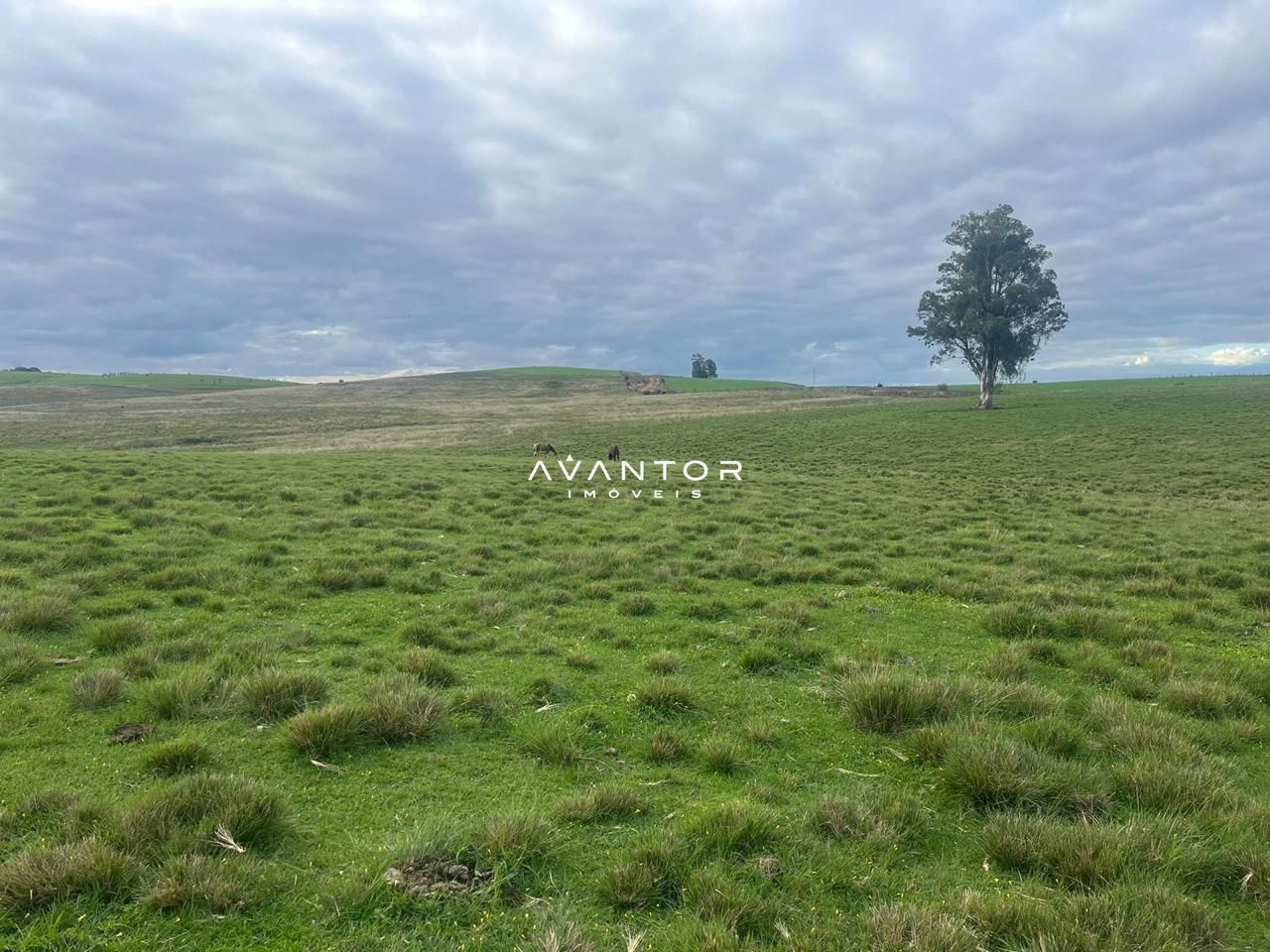 Campo à venda em Catuçaba, São Gabriel/RS — foto 2 de 38