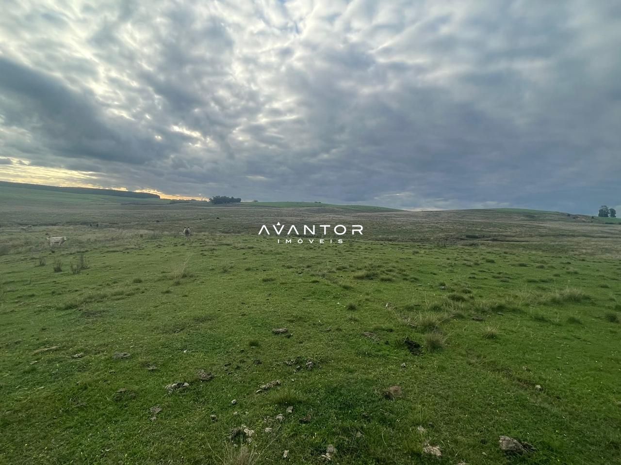 Campo à venda em Catuçaba, São Gabriel/RS — foto 3 de 38