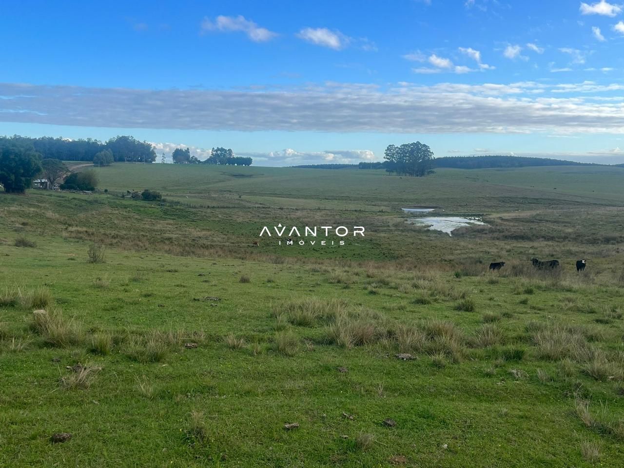 Campo à venda em Catuçaba, São Gabriel/RS — foto 11 de 38