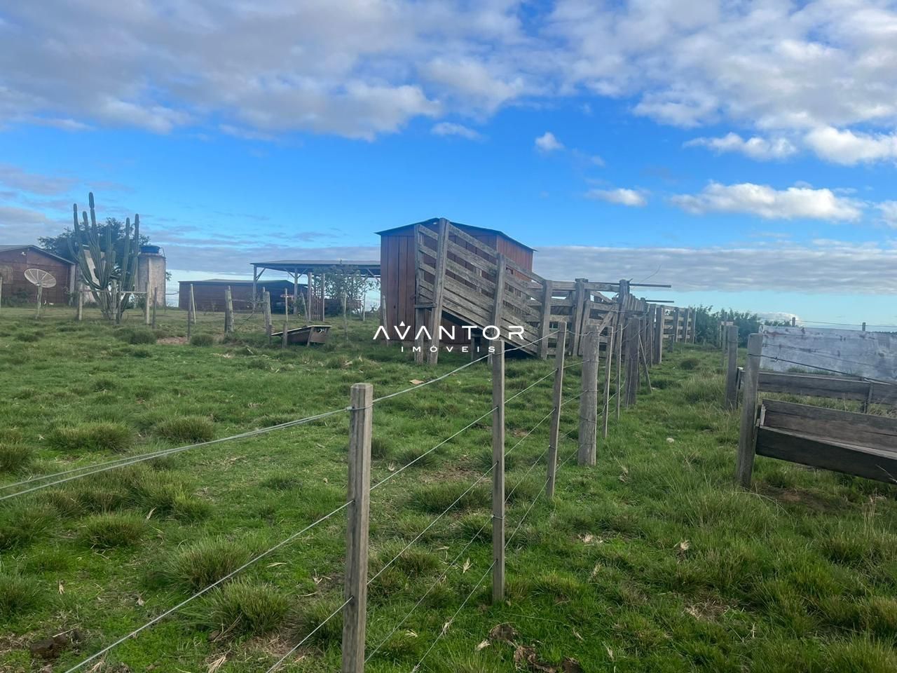 Campo à venda em Catuçaba, São Gabriel/RS — foto 17 de 38