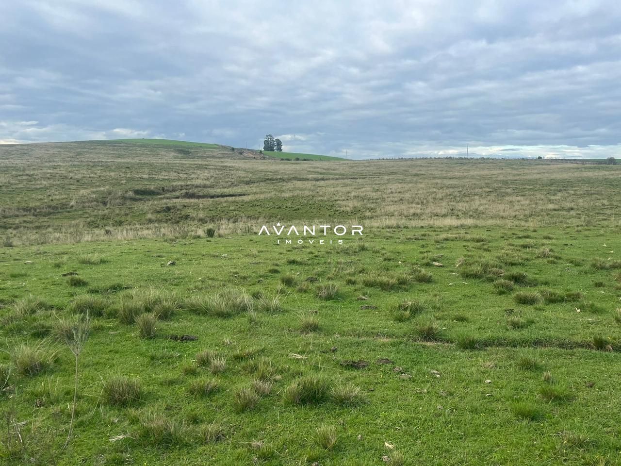 Campo à venda em Catuçaba, São Gabriel/RS — foto 20 de 38