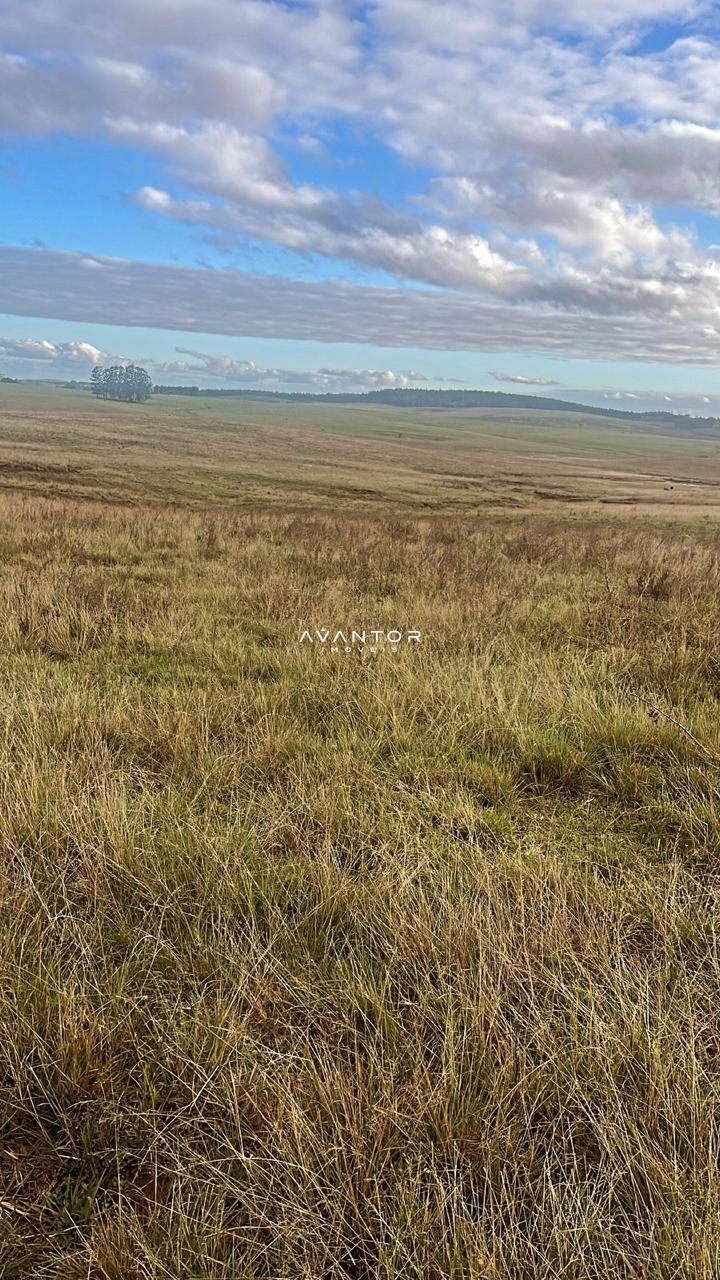 Campo à venda em Catuçaba, São Gabriel/RS — foto 23 de 38