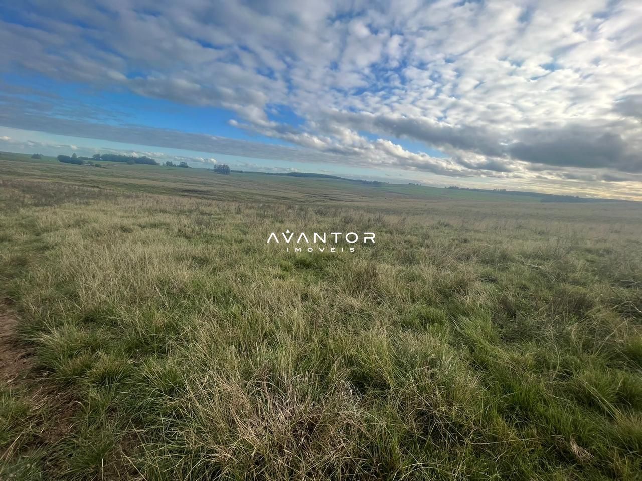 Campo à venda em Catuçaba, São Gabriel/RS — foto 26 de 38