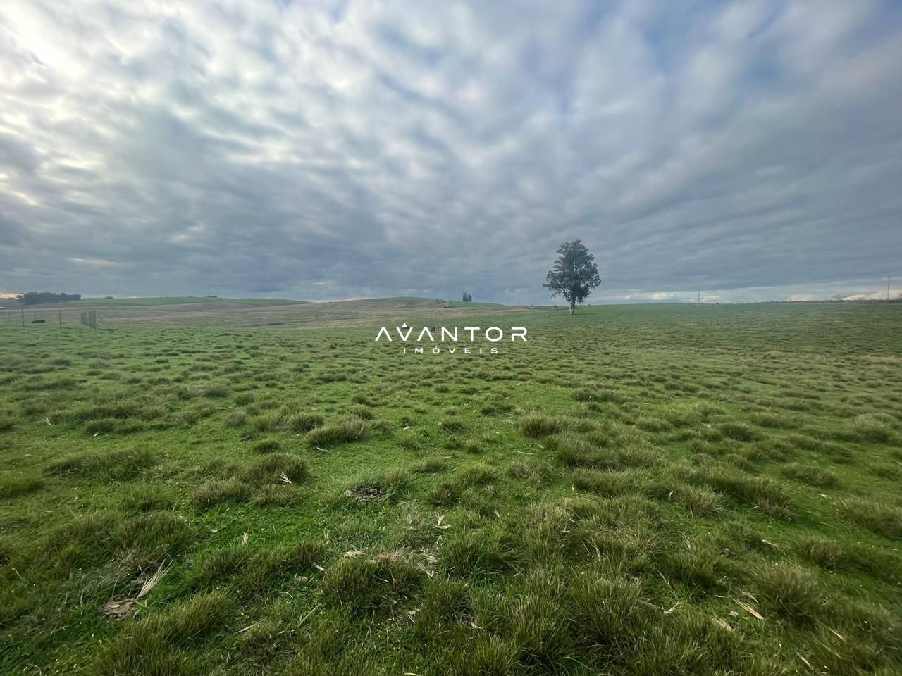 Campo à venda em Catuçaba, São Gabriel/RS — foto 27 de 38