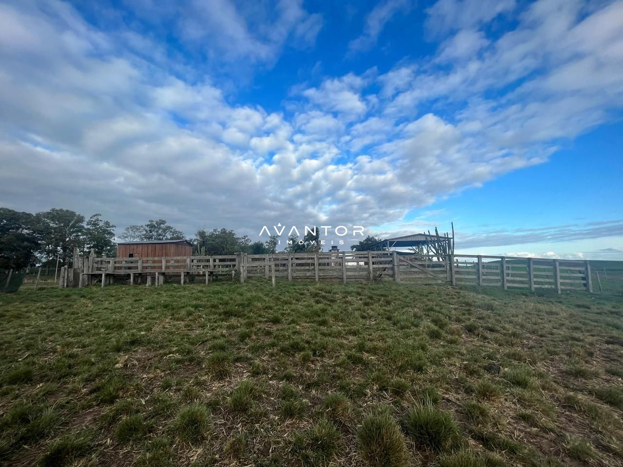 Campo à venda em Catuçaba, São Gabriel/RS — foto 33 de 38