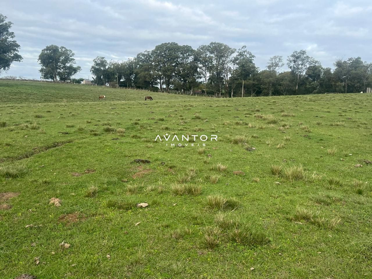 Campo à venda em Catuçaba, São Gabriel/RS — foto 35 de 38