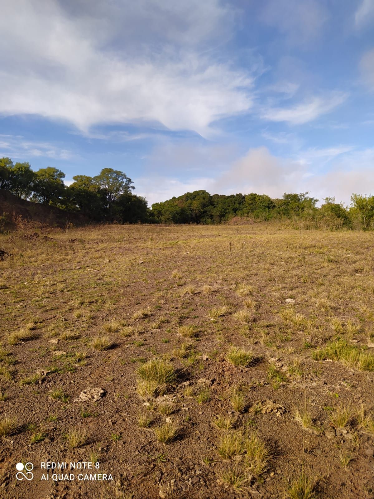 Chácara com 2 quartos à venda em Rural, São Pedro do Sul/RS — foto 2 de 5
