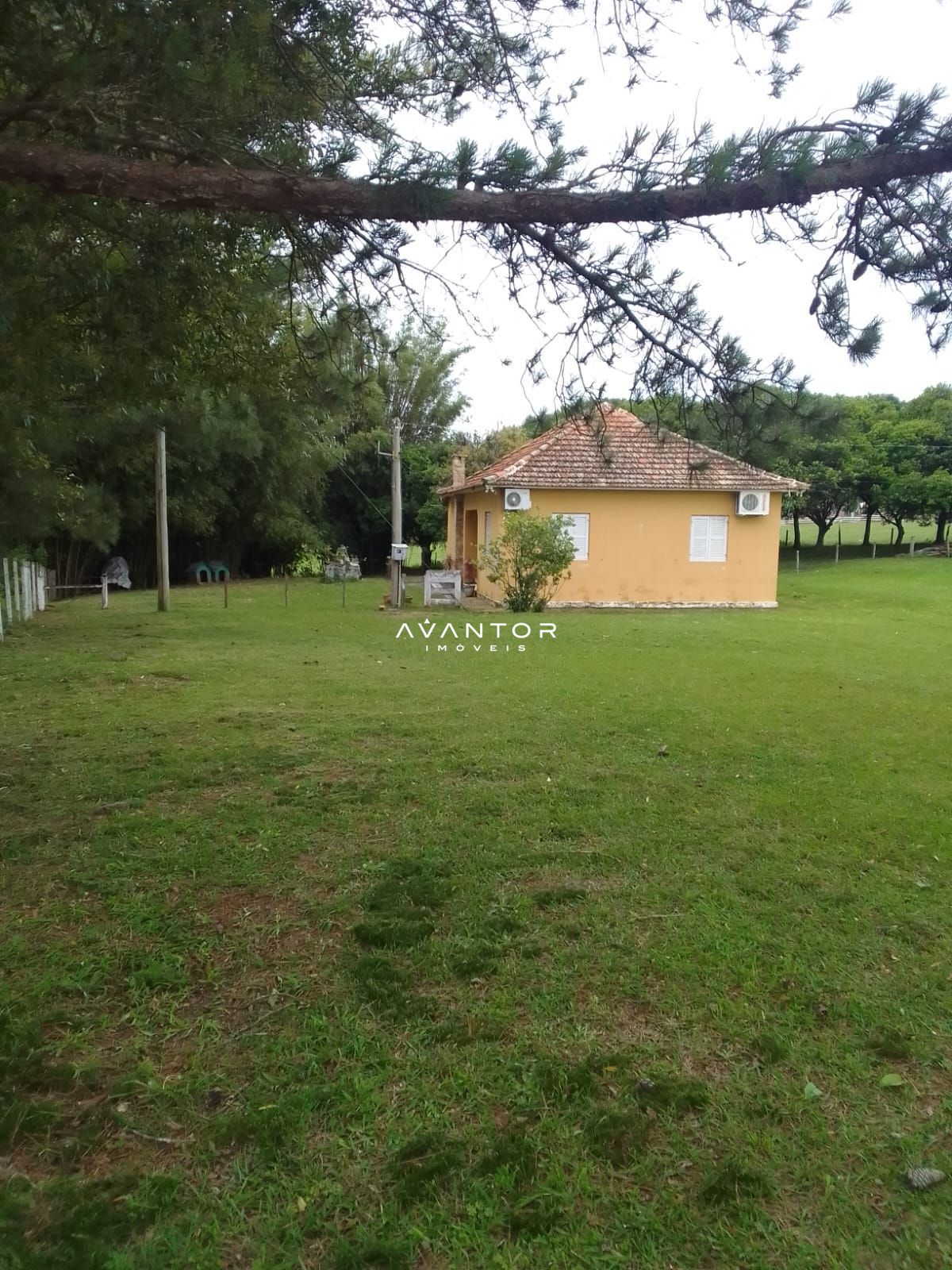 Chácara com 3 quartos à venda em Centro, Restinga Seca/RS — foto 5 de 13