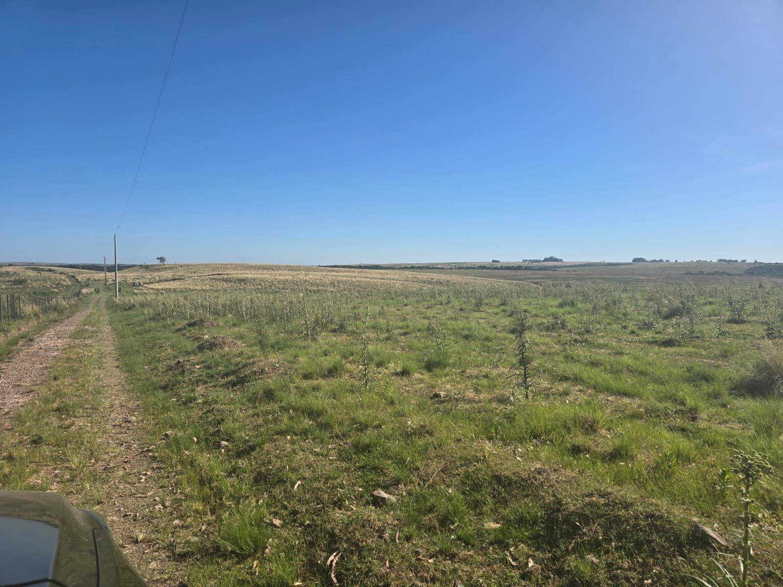Chácara com 2 quartos à venda em Zona Rural, Santiago/RS — foto 7 de 7