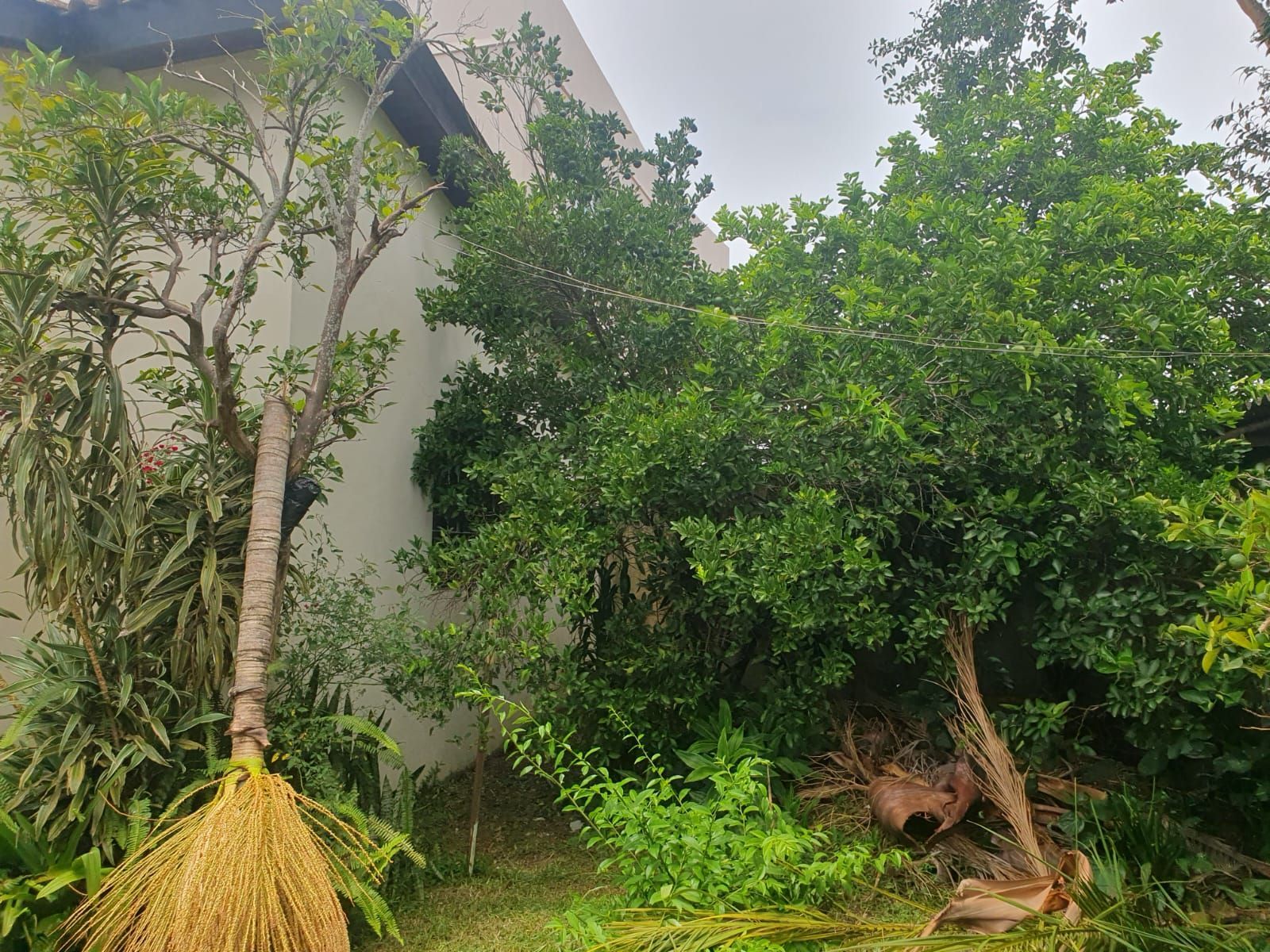 Casa com 3 quartos à venda em Juscelino Kubitschek, Santa Maria/RS — foto 12 de 12