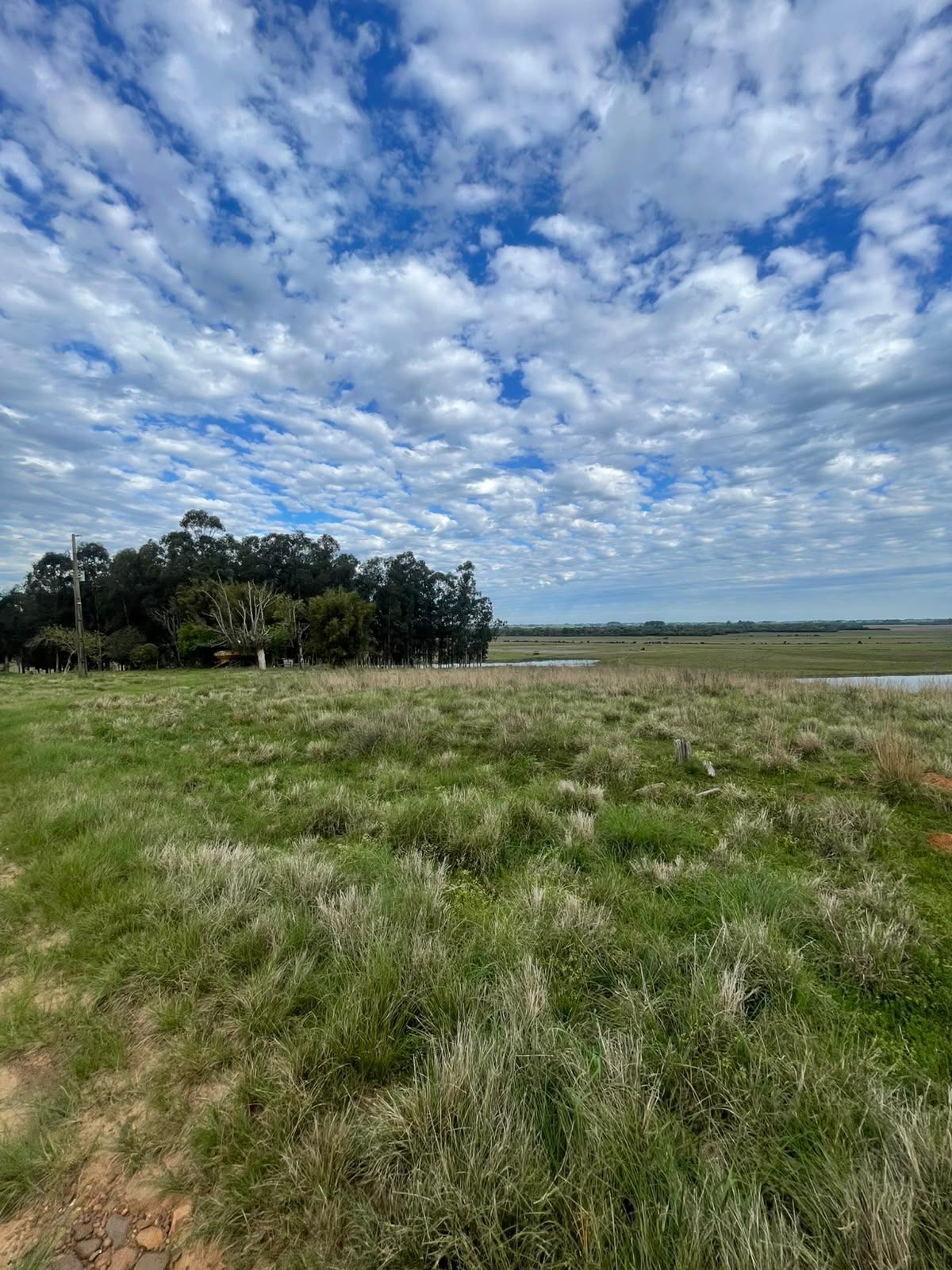 Campo à venda em Zona rural, Jaguari/RS — foto 8 de 23